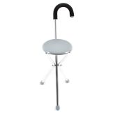 MIO Walking Stick Seat